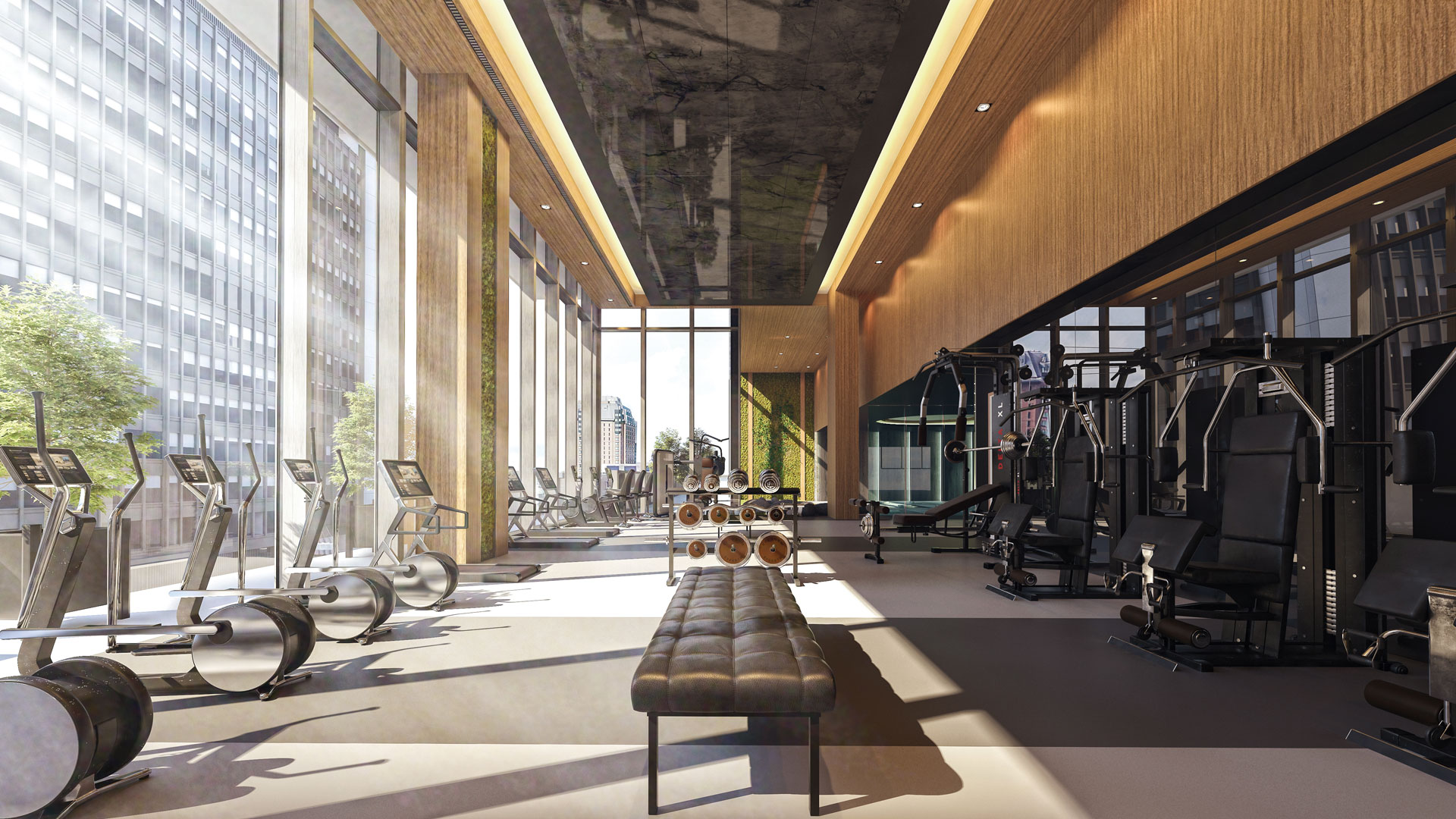 vslp-gym